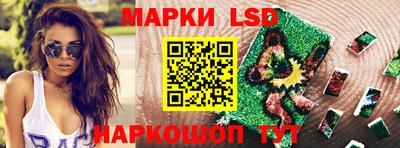 стаф Краснодар