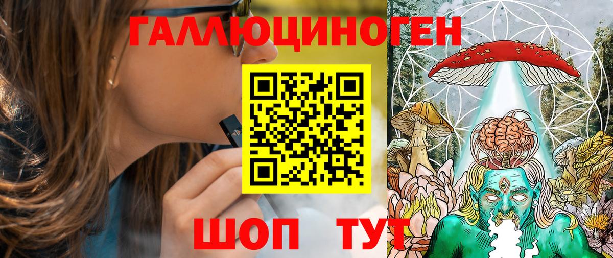 Ефремов  Псилоцибиновые грибы Psilocybine cubensis  Вход с VPN 